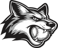One-Time Sign Up Team Registration Fee