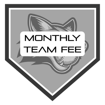 Monthly Team Fee